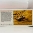 Load image into Gallery viewer, KYOSHO Radio Controlled Electric Powered 2WD Racing Buggy Car BEETLE 2014 30614D