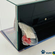 Load image into Gallery viewer, Kyosho Mini-z Body ASC Ferrari F355 Red MZC19R