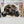 Load image into Gallery viewer, Tamiya 1/12 RC Off-Road Car Lunch Box Black Edition ITEM 58546
